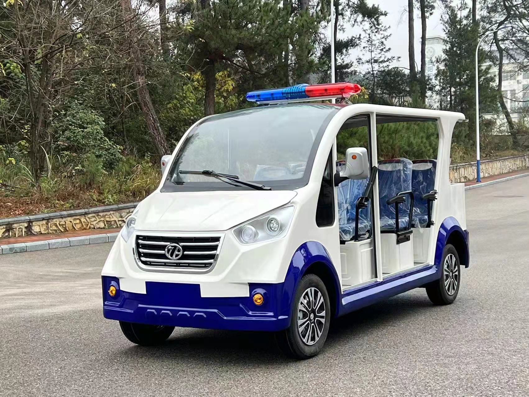 電動(dòng)觀光車(chē)