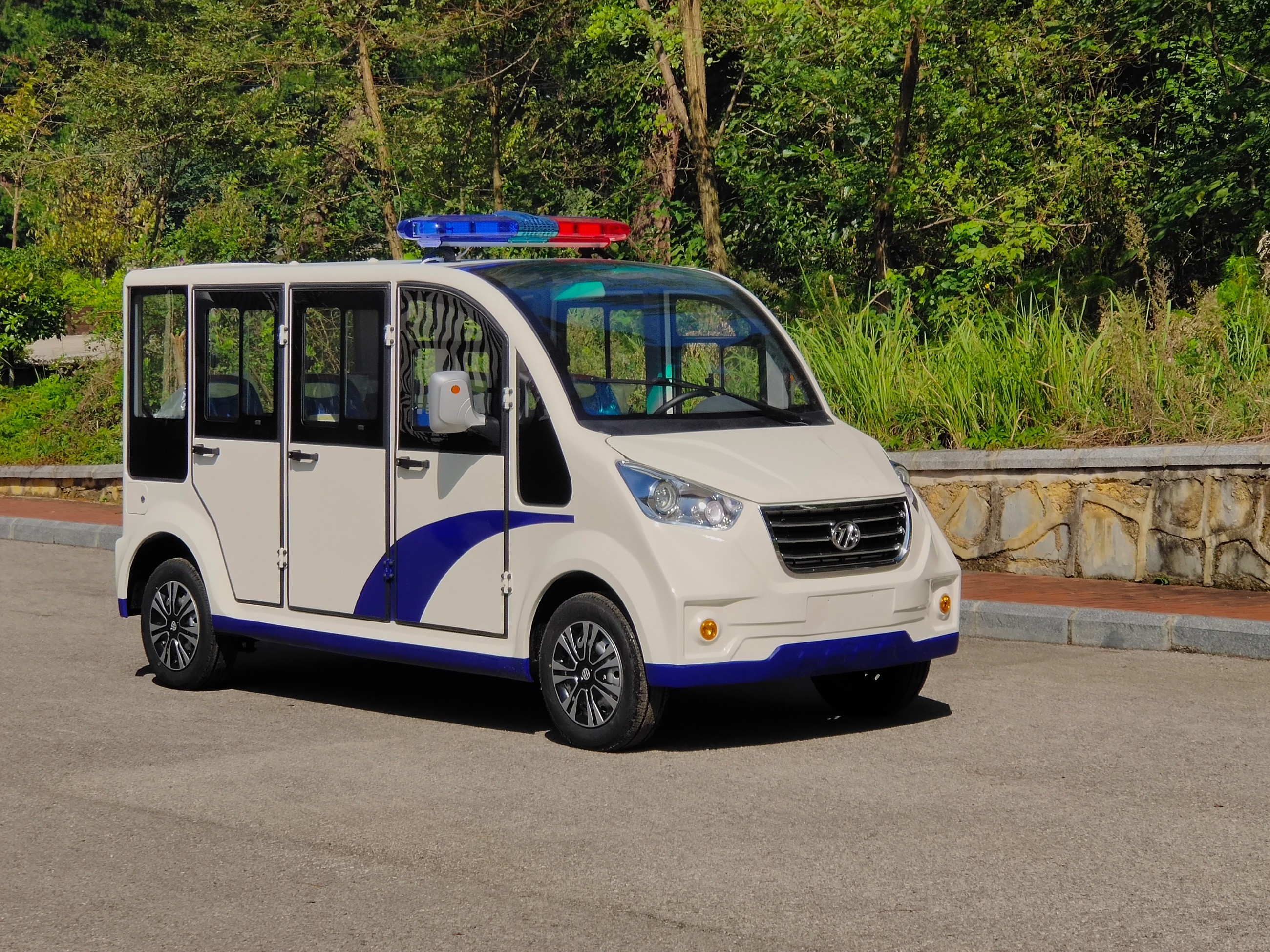電動(dòng)觀光車(chē)
