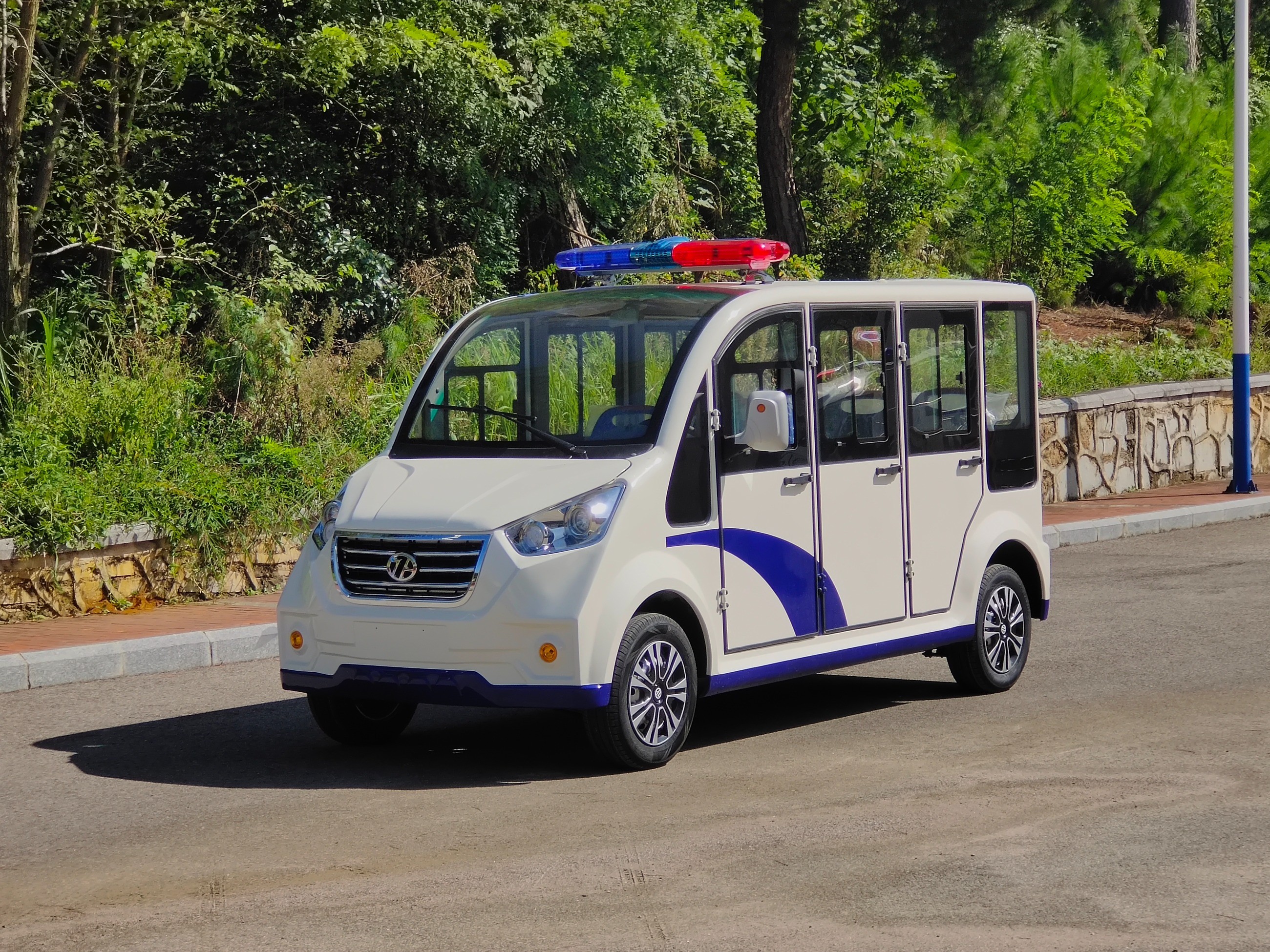 電動(dòng)觀光車(chē)