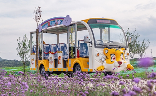 旅游景區(qū)為什么要用燃油觀光車？