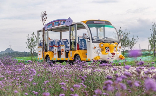 電動觀光車廠家哪個品牌好，電動觀光車市場價格